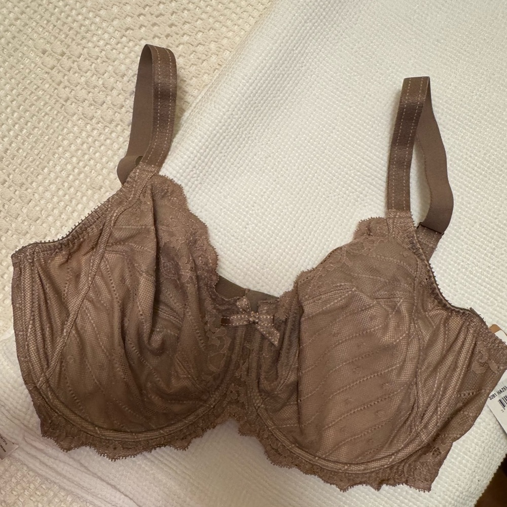 NWT Chantelle Rive Gauche Lace Bra US 36DDD Hazel